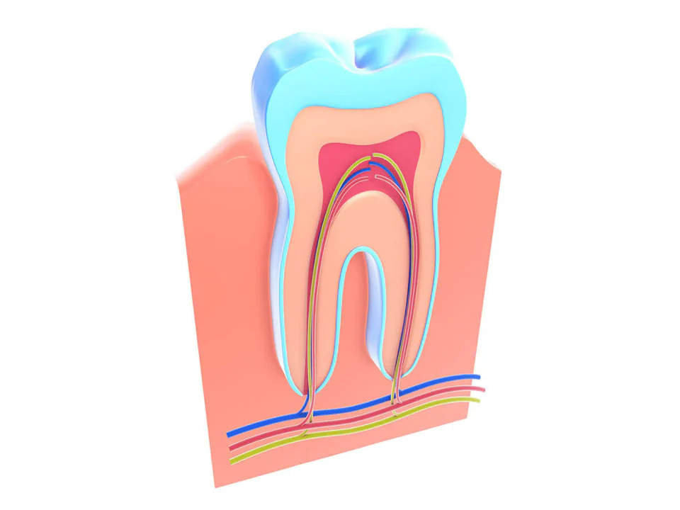 Root canal treatments and services available at Ace Dental Boston in Boston, MA